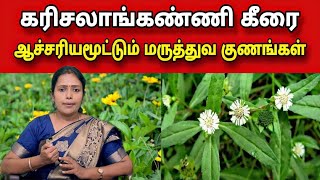 கரிசலாங்கண்ணி கீரையின் மருத்துவ பயன்கள்  Karisalankanni keerai Maruthuvam  DrRajalakshmi TCH [upl. by Averi]