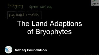 The Land Adaptions of Bryophytes Biology Lecture  Sabaqpk [upl. by Ludovika]