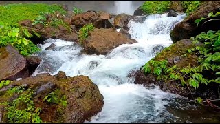 ASMR River Symphony Water Sounds to Erase Stress and Insomnia  LuLu Sounds [upl. by Amick857]