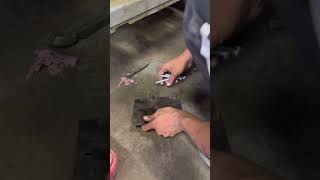 Ac Compressor Change CarSuzuki Wagon R Ac Compressor ReplacementMS AUTOS Car Ac [upl. by Kira551]