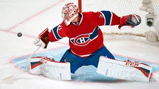 Best Saves in NHL History [upl. by Seuguh]