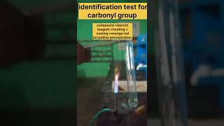 Identification test for carbonyl compounds [upl. by Ecniv]