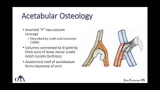 Pelvis and acetabular anatomy  2 of 2 [upl. by Sisi940]