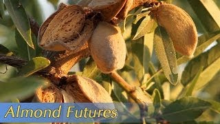 Growing California video series Almond Futures [upl. by Valina662]