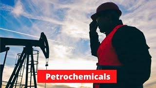 Petrochemicals  A Complete Guide to Process amp Industry TRAILER [upl. by Soiritos]