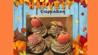 Watch Me Make These Harvest 🎃🍂🍁Cupcakes [upl. by Indira830]