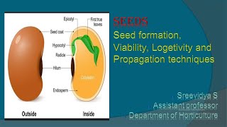 Seed formation Viability Longevity and Propagation techniques [upl. by Riabuz]