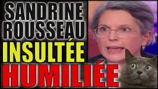 SANDRINE ROUSSEAU TRAITÉE DE CNNE ET HUMILIÉE  ELLE BÉGAIE EN CHINOIS [upl. by Faxun778]