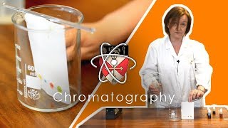 Chromatography  GCSE Science Required Practical [upl. by Kriste]