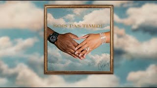 GIMS  Sois pas timide Official Lyrics Video [upl. by Waverly]