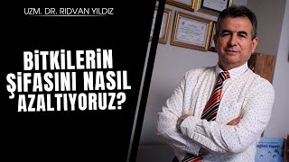 Bitkilerin şifasını nasıl yok ediyoruz Dr Rıdvan Yıldız [upl. by Anilehcim850]