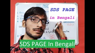 SDS PAGE In Bengali [upl. by Ealasaid354]