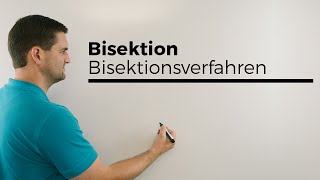 Bisektion Bisektionsverfahren Intervallhalbierung Gleichungen lösen  Mathe by Daniel Jung [upl. by Menell]