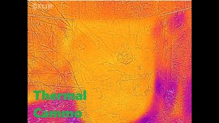 I bought a thermal camera and then I hid from it [upl. by Ztnaj882]