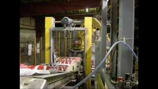 Hamer Fully Automated Bagging System 50 lbs Salt Bags [upl. by Rew531]