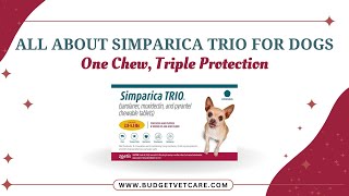 AllinOne Parasite Protection for Dogs Discover quotSimparica Trioquot 🐾 [upl. by Cuthburt]