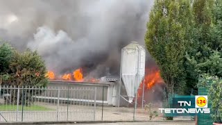 Incendio a Vellezzo Bellini in fiamme un allevamento di tacchini [upl. by Arella]