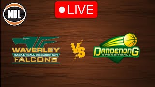 🔴 Live Waverley Falcons vs Dandenong Rangers  Live Play by Play Scoreboard [upl. by Antonin315]