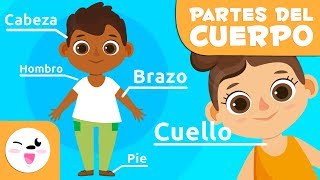 Las partes del cuerpo humano para niños  Vídeos educativos para niños [upl. by Candyce]