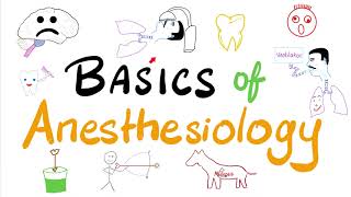 Basics of Anesthesia  An introduction to Anesthesiology [upl. by Ardnovahs]