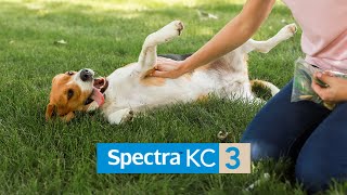 Protect Your Pets Against Kennel Cough with Canine Spectra KC3 Vaccine [upl. by Niak616]