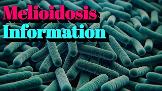 Melioidosis Information 🔬Tier3 Infectious Disease [upl. by Sivahc82]