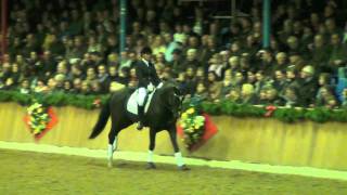 First Flores  Stallion Show Bon Homme amp Kathmann  Vechta 2012 [upl. by Artemisia]