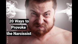 20 Ways to Provoke the Narcissist to Meltdown Tantrum Apoplexy [upl. by Anairt]