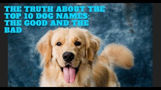 The Truth About the Top 10 Dog Names The Good and the Bad [upl. by Hilton496]