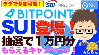 タダで、秒で参加可能！ビットポイント（BITPOINT）にSUI登場！抽選で１万円もらえるかもしれないキャンペーン [upl. by Nisen]