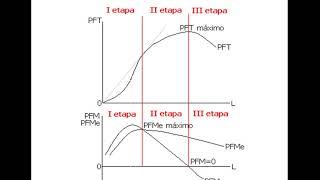 Etapas de producción [upl. by Ataymik]