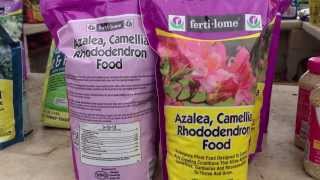 Azalea Camellia and Rhododendron Fertilizer by Fertilome  Quick Video Instructions by Chad Harris [upl. by Cahan581]