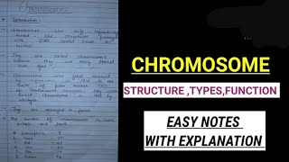 Chromosome and their types and function notes bsczoology class12biology neet biology science [upl. by Arnst]