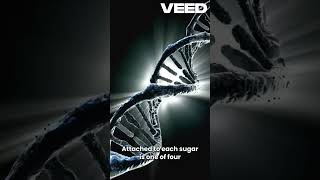 DNA structure DNA science youtubeshorts abubakarmedplus [upl. by Debo]