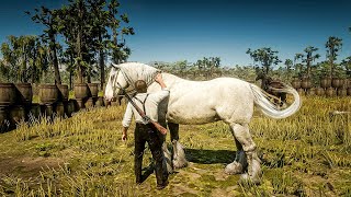 3 biggest horse in RDR2 amp its Details Shire Horse breed [upl. by Adlitam]