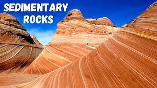 Three types of Sedimentary Rocks [upl. by Adamsen]