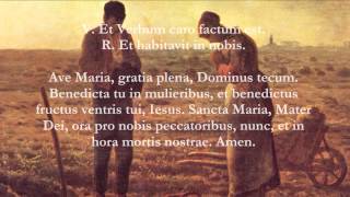 Catholic Prayers  Angelus Latin [upl. by Yellah]