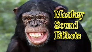 Monkey Sound Effects [upl. by Caneghem]