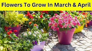 Flowers To Grow In March and April  Flowers to plant in March and April [upl. by Odie89]