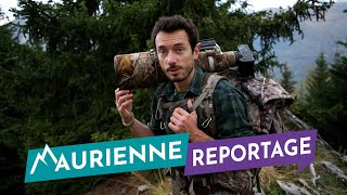 Maurienne Reportage 211  Brâme du cerf [upl. by Poul]