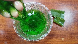 How to make WATER SLIME ALOE VERA No Glue No Borax [upl. by Ydde]