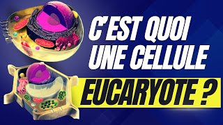 Questce quune cellule eucaryote Explication et définition [upl. by Ellerrehc836]