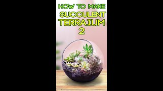 WANT TO MAKE TERRARIUM [upl. by Rihana550]