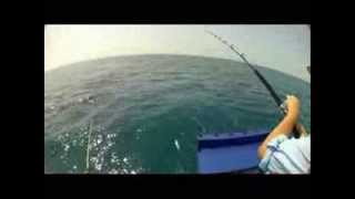 Weipa Sailfishing Action with Ben Bright  aboutfishingnqcom [upl. by Paff58]