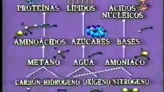 Origen de las biomoleculasTeoria de OparinHaldane [upl. by Namyl]