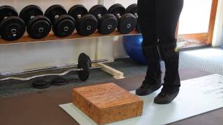 Calf Muscle Exercises With Ankle Weights  Simple Functional Exercises [upl. by Rialcnis323]