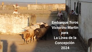 Embarque Toros Victorino Martín para La Línea de la Concepción 2024 [upl. by Maddeu]