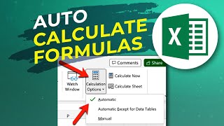 How to Make Excel to Auto Calculate Formulas [upl. by Annecorinne942]