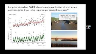 Evaluating spatial patterns in salt marsh biogeochemistry [upl. by Davidoff101]