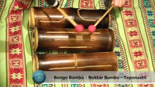 Bongo Bambú  Bamboo Percussion  Percusión  Teponaztli Nektar [upl. by Sonafets]